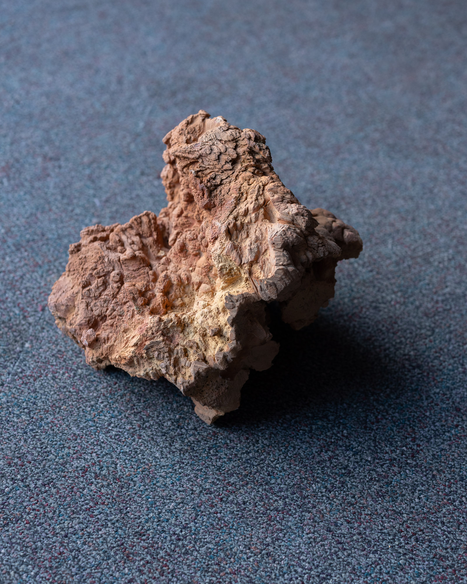 DSCF1233.JPG