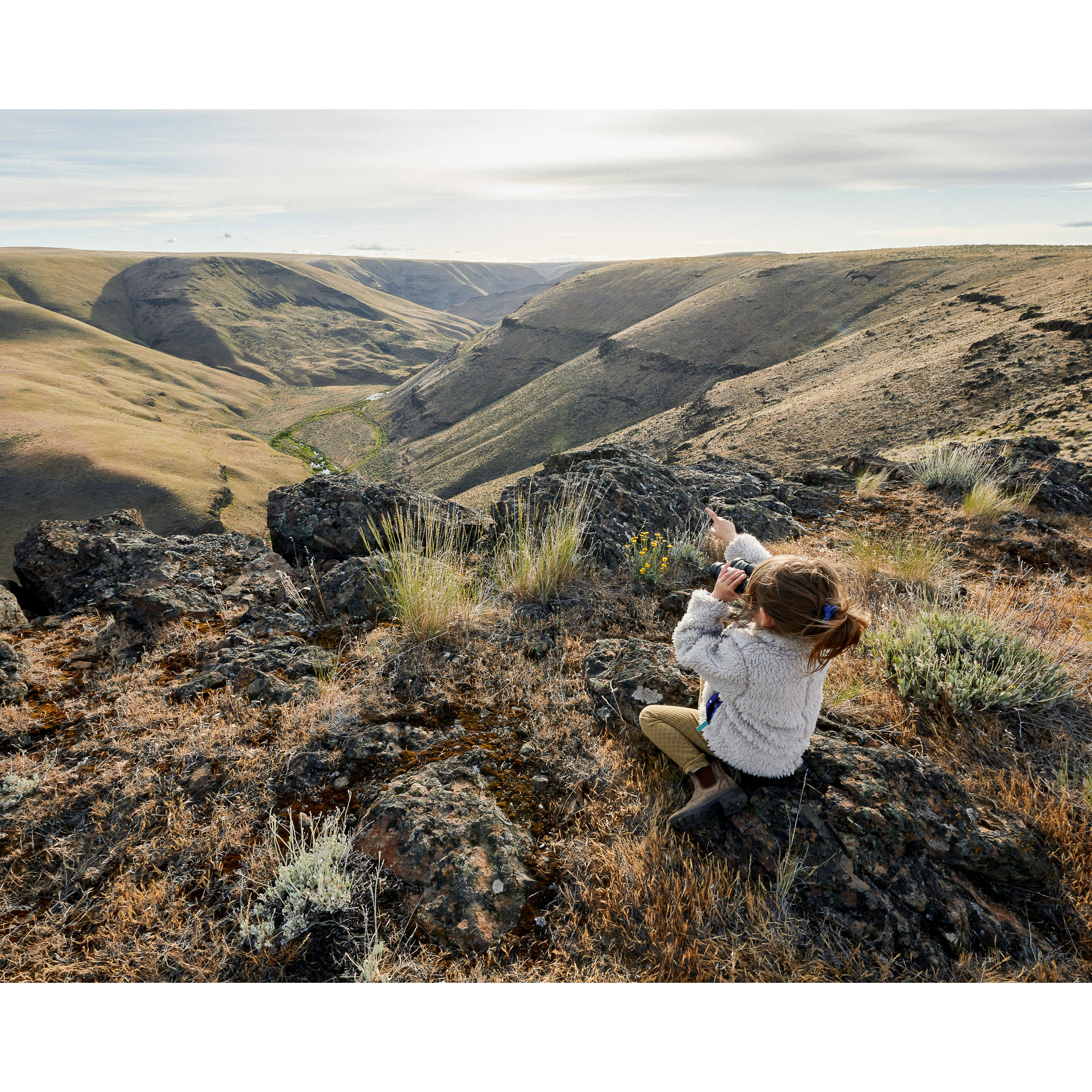 McDonald Crossing —Western Rivers Conservancy